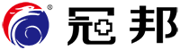 北京冠邦科技有限公司 Logo